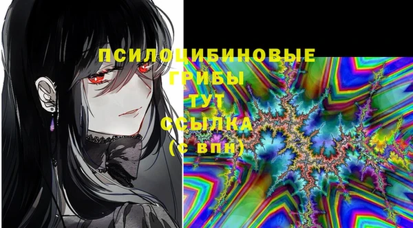 соль ск Киренск