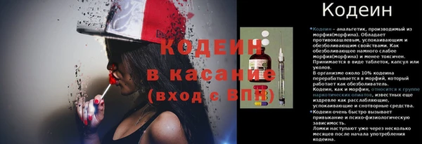 прущие грибы Киреевск