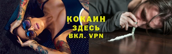 прущие грибы Киреевск