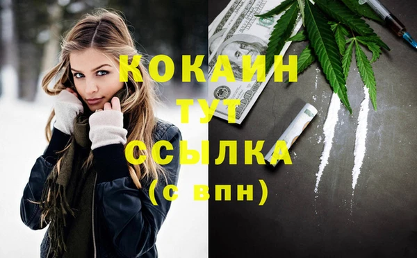 прущие грибы Киреевск