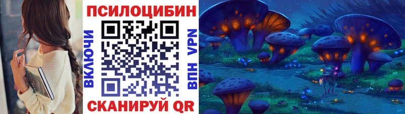 Купить  Аргун  Галлюциногенные грибы MAGIC MUSHROOMS 
